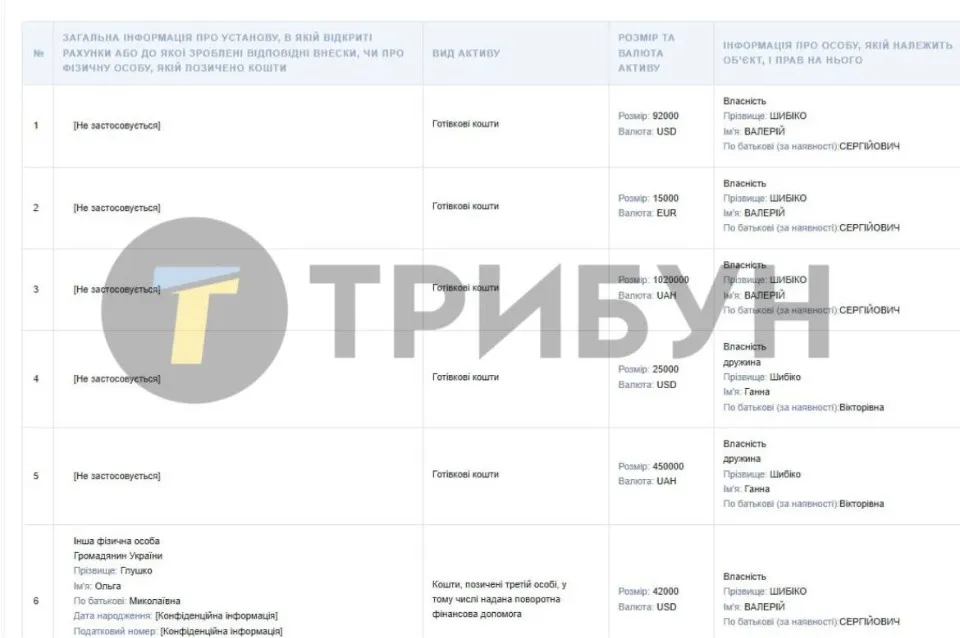 Декларація Валерія Шибіко