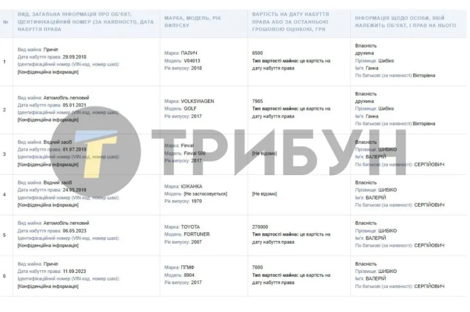 Декларація Валерія Шибіко