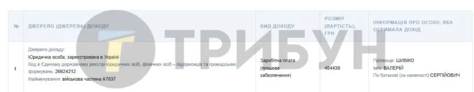 Декларація Валерія Шибіко