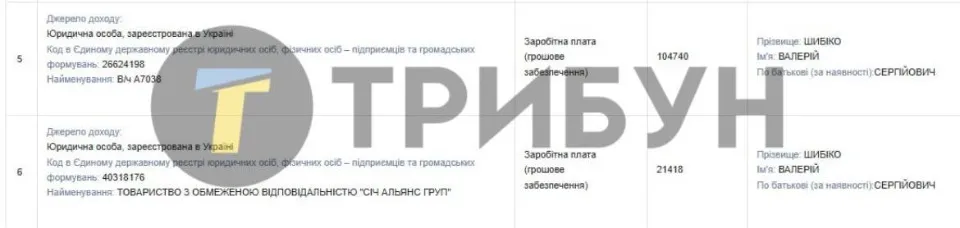 Декларація Валерія Шибіко