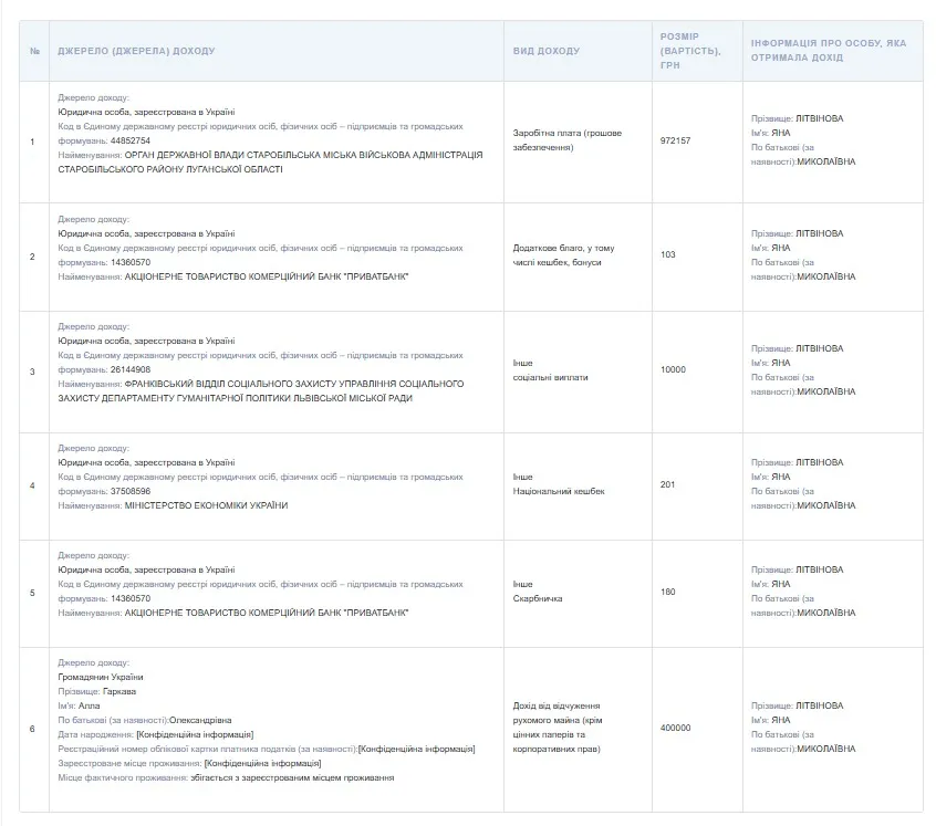 Літвінова Яна, декларація