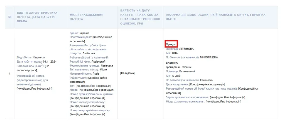 Літвінова Яна, декларація