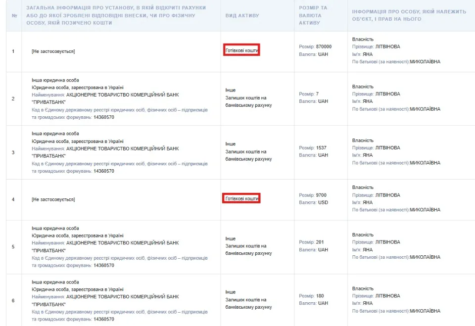 Літвінова Яна, декларація