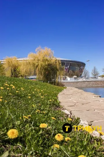 Донбас-арена