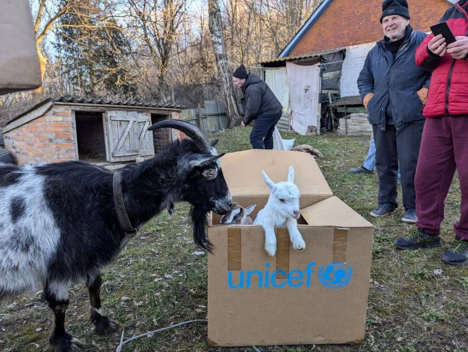 Евакуація з тваринами. Фото БФ “Схід SOS”