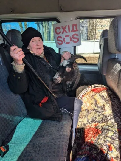 Евакуація з тваринами. Фото БФ “Схід SOS”