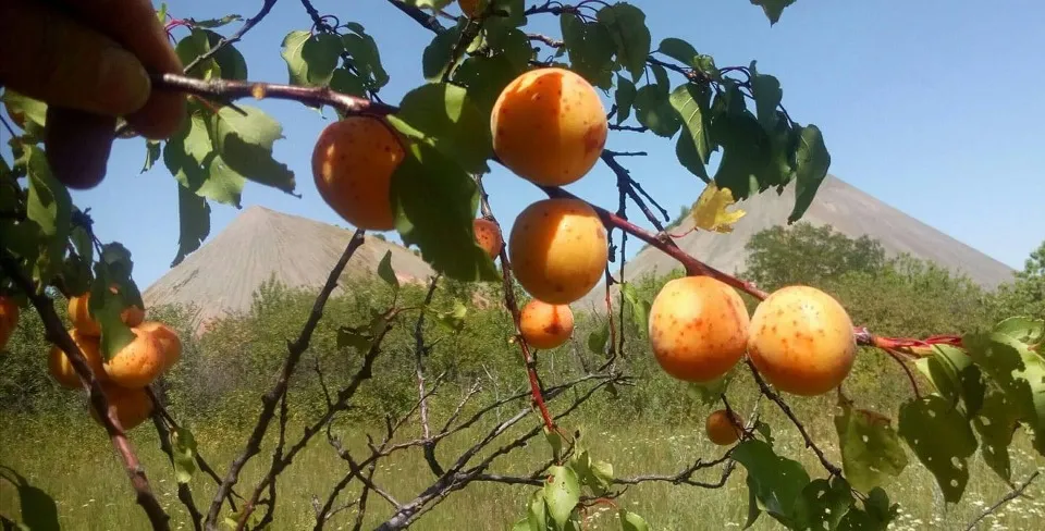 «На Луганщині не 26, а 37 громад»: Олена Ніжельська про памʼять, віру людей і майбутнє зруйнованих с