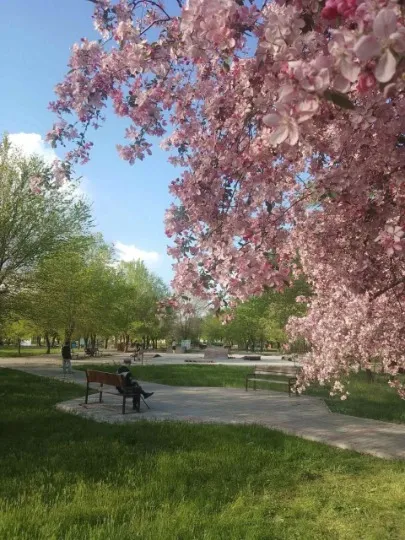 Сіверськодонецьк