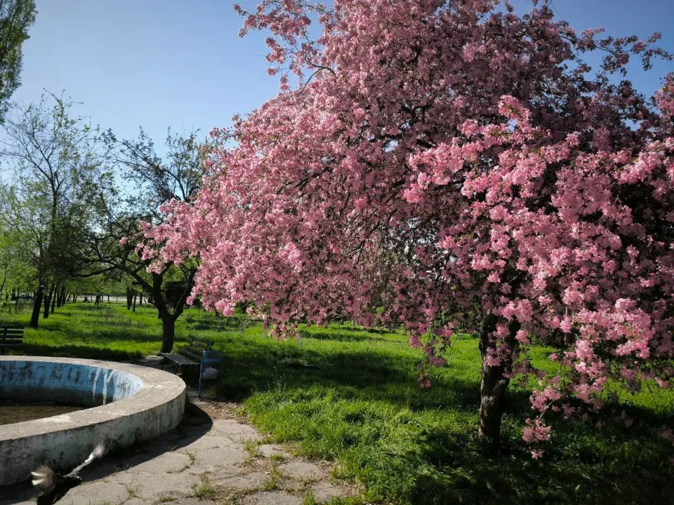 Сіверськодонецьк