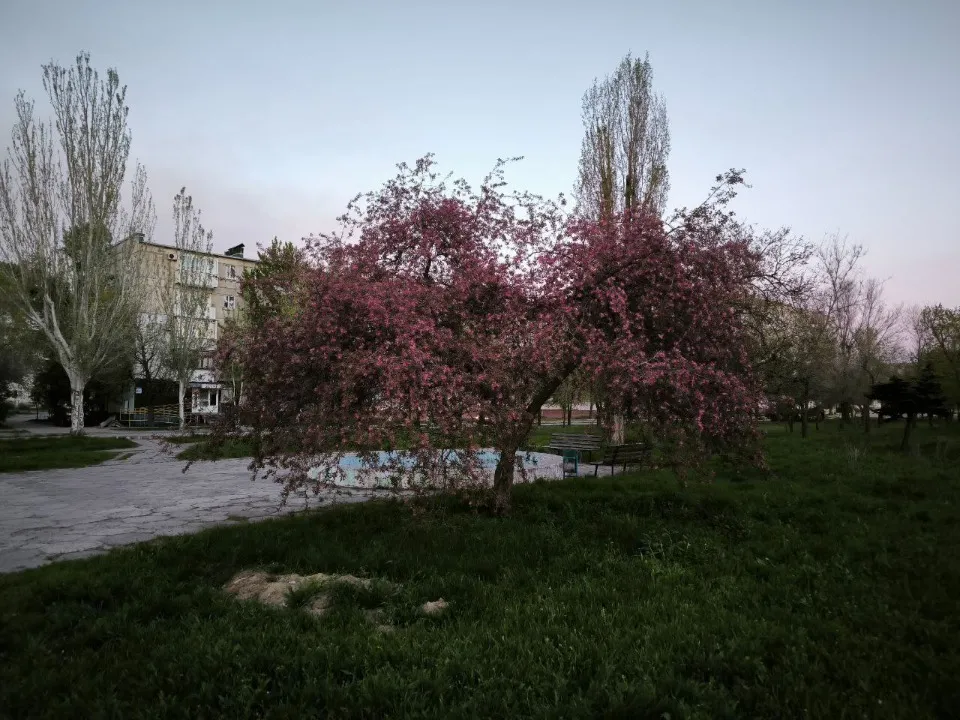 Сіверськодонецьк