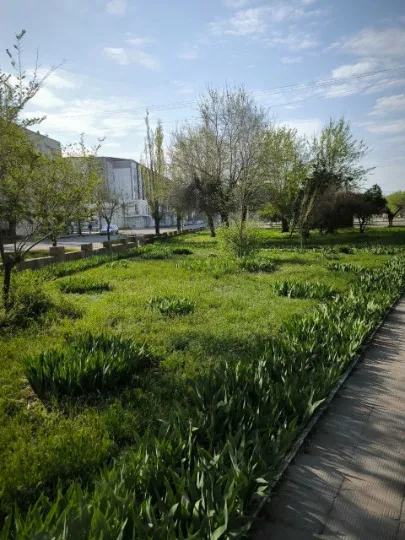 Сіверськодонецьк