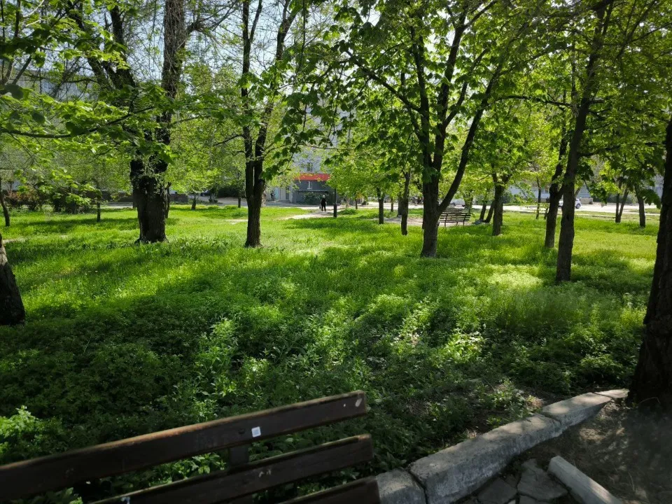 Сіверськодонецьк