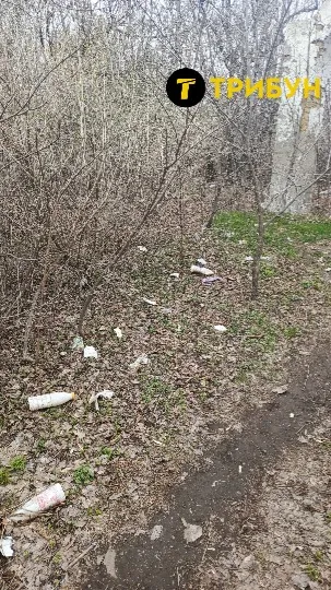 “Суча балка” в окупованому Луганську нині має такий занедбаний стан. Територія поховання засмічена т