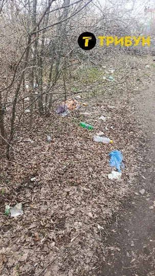 “Суча балка” в окупованому Луганську нині має такий занедбаний стан. Територія поховання засмічена т