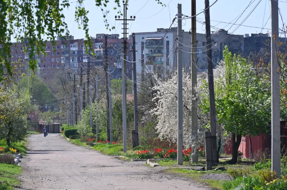 Покровськ квітень 2025 війна квітучі дерева