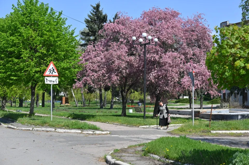 Покровськ квітень 2025 війна квітучі дерева