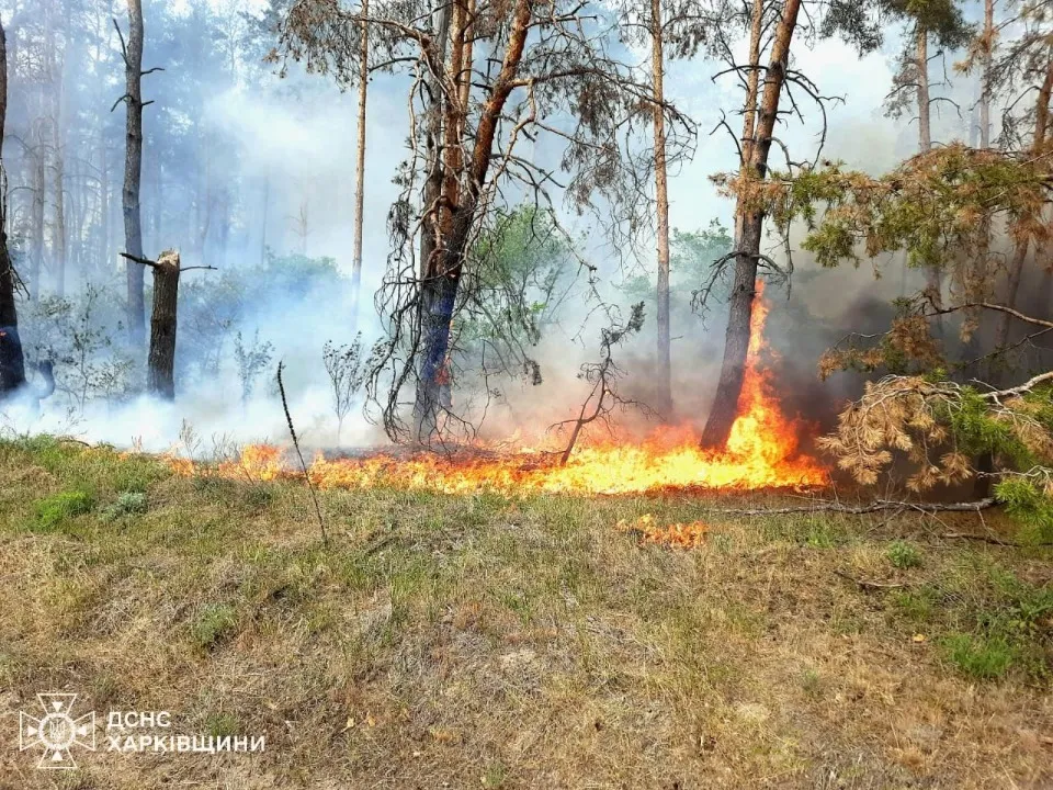 Пожежа Харківська область Харківщина. ДСНС