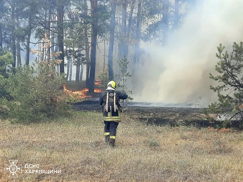 Пожежа Харківська область Харківщина. ДСНС