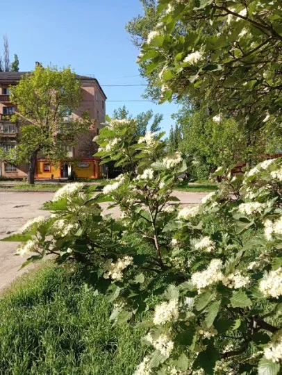 Горлівка