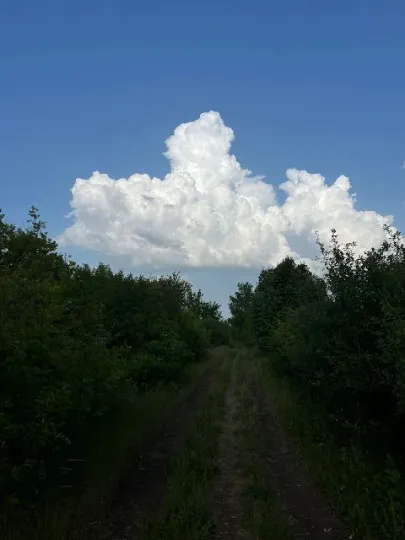 Старобільськ