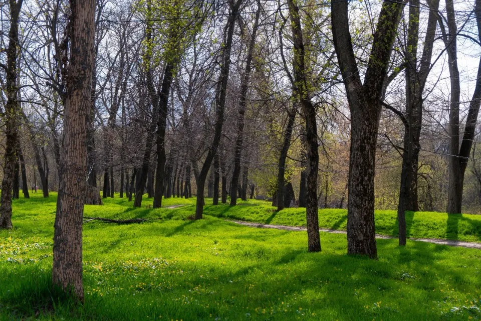 Луганськ