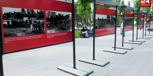 выставка
