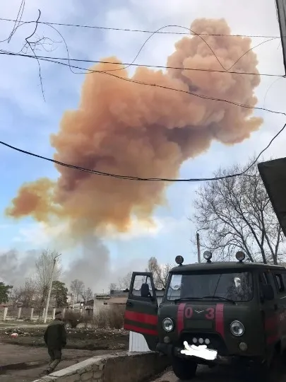 Рубіжне гриб