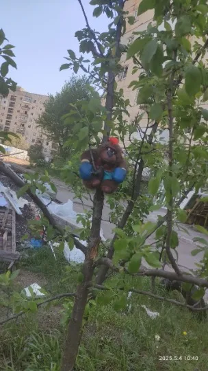 Сіверськодонецьк, вулиця Д. Сірика (кол. Вілєсова), 43