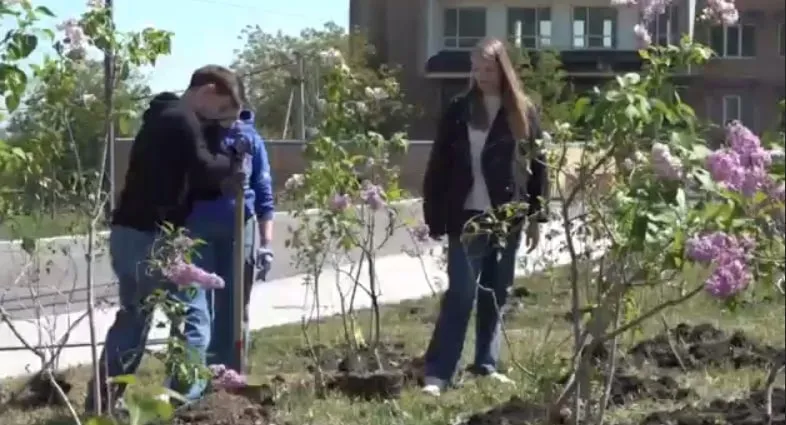 бузковий сад