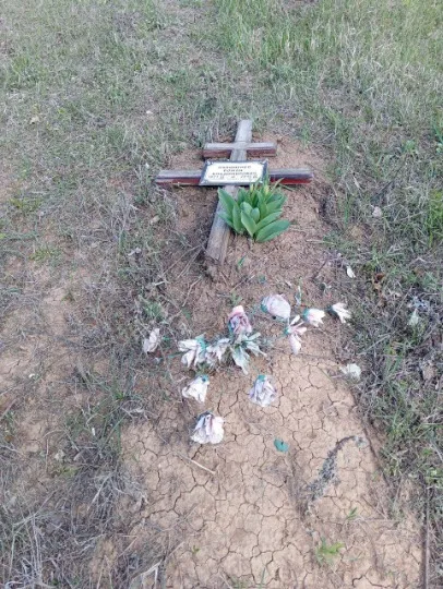 Аллея славы