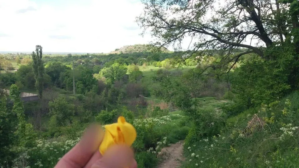 жовта стрічка
