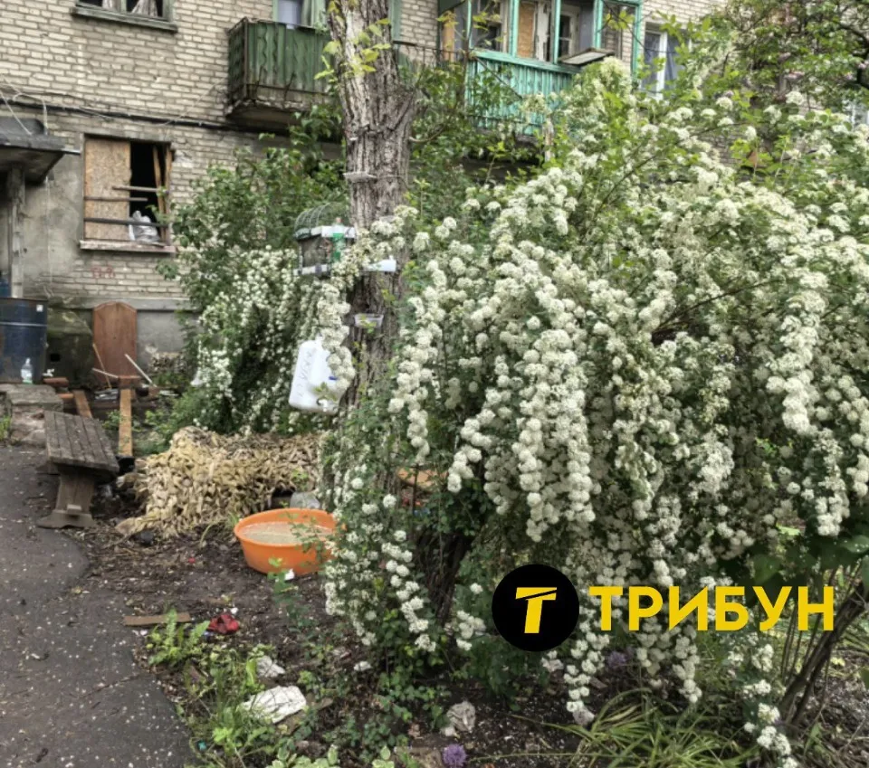 Авдіївка