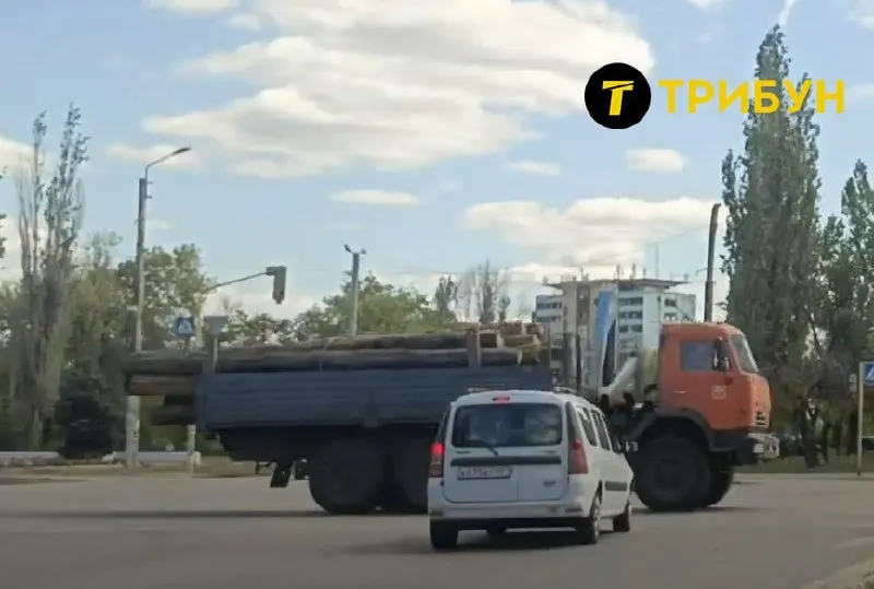 Поблизу Сіверськодонецька окупанти вирубують ліси для своїх потреб