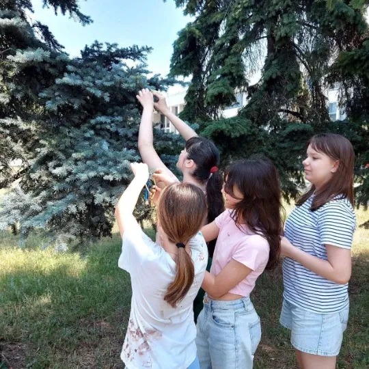 Дінпро
