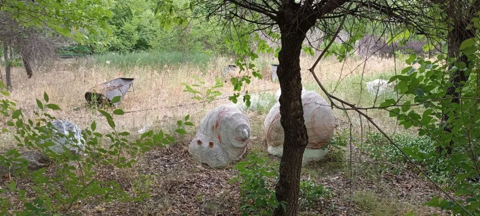 Сіверськодонецьк