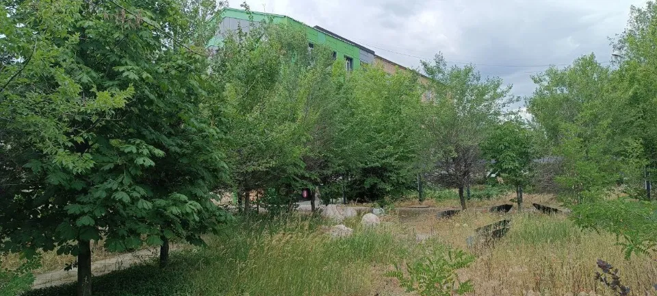 Сіверськодонецьк