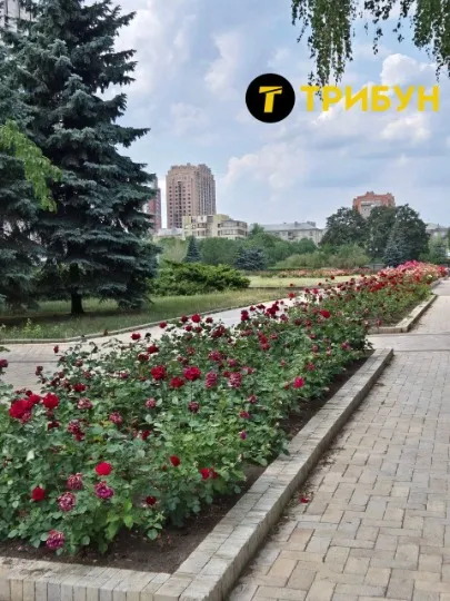 Донецьк 2025