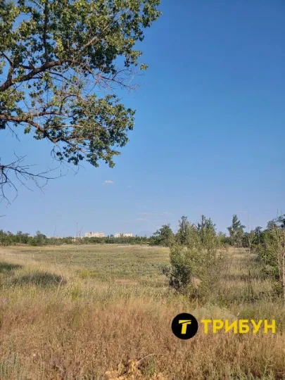Паркове озеро сіверськодонецьк