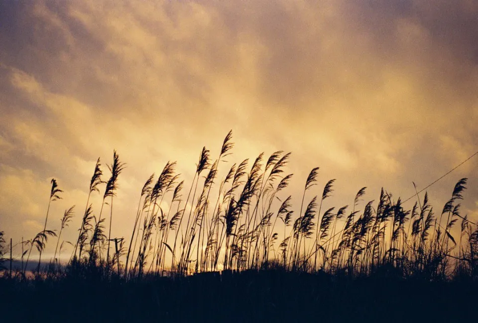 Горлівка. Фото: Фролови