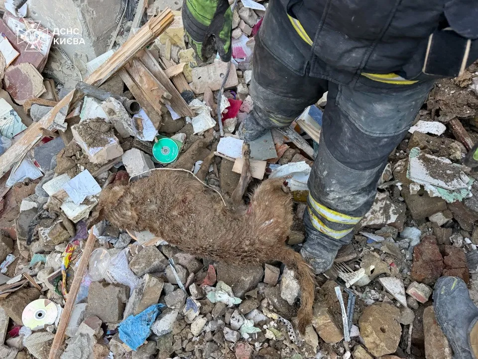 Києві обстріли 17 червня, розбір