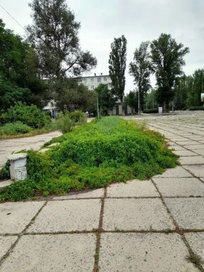 Рубіжне