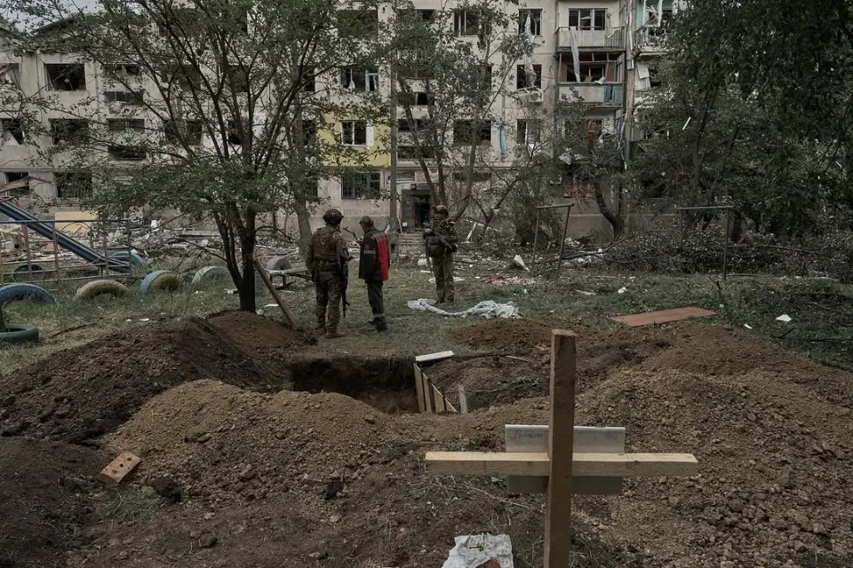Покривець