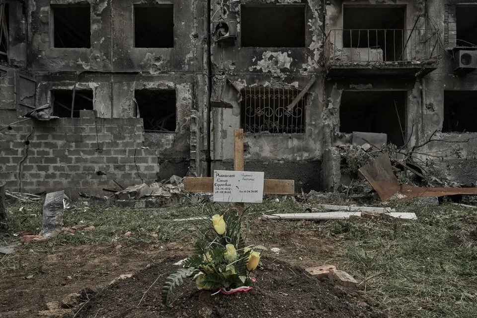 Покривець