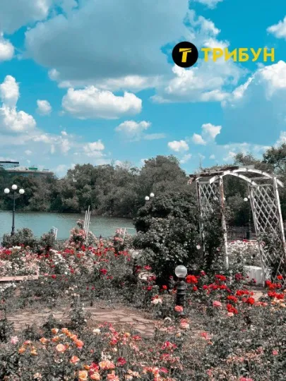 Парк Щербакова Донецьк