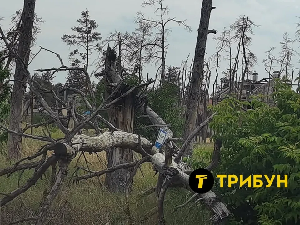 Сіверськодонецьк