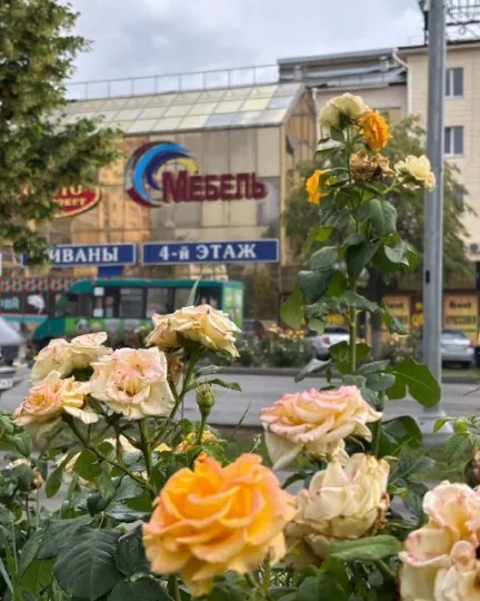 окупований Луганськ червень 2025