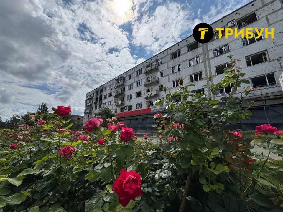 Курахове