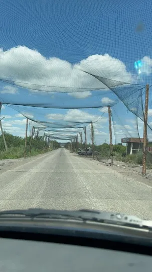 траса сітки від дронів покровськ
