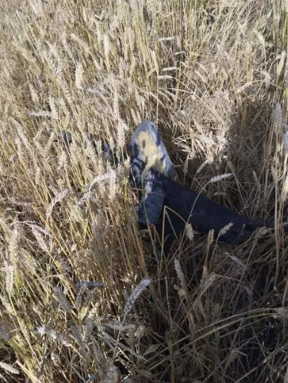 дрон на Волині
