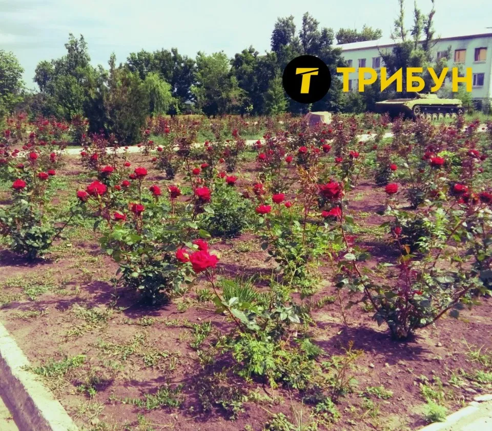 Сокологірськ